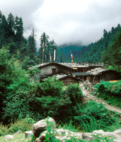 Experiencia himalaya