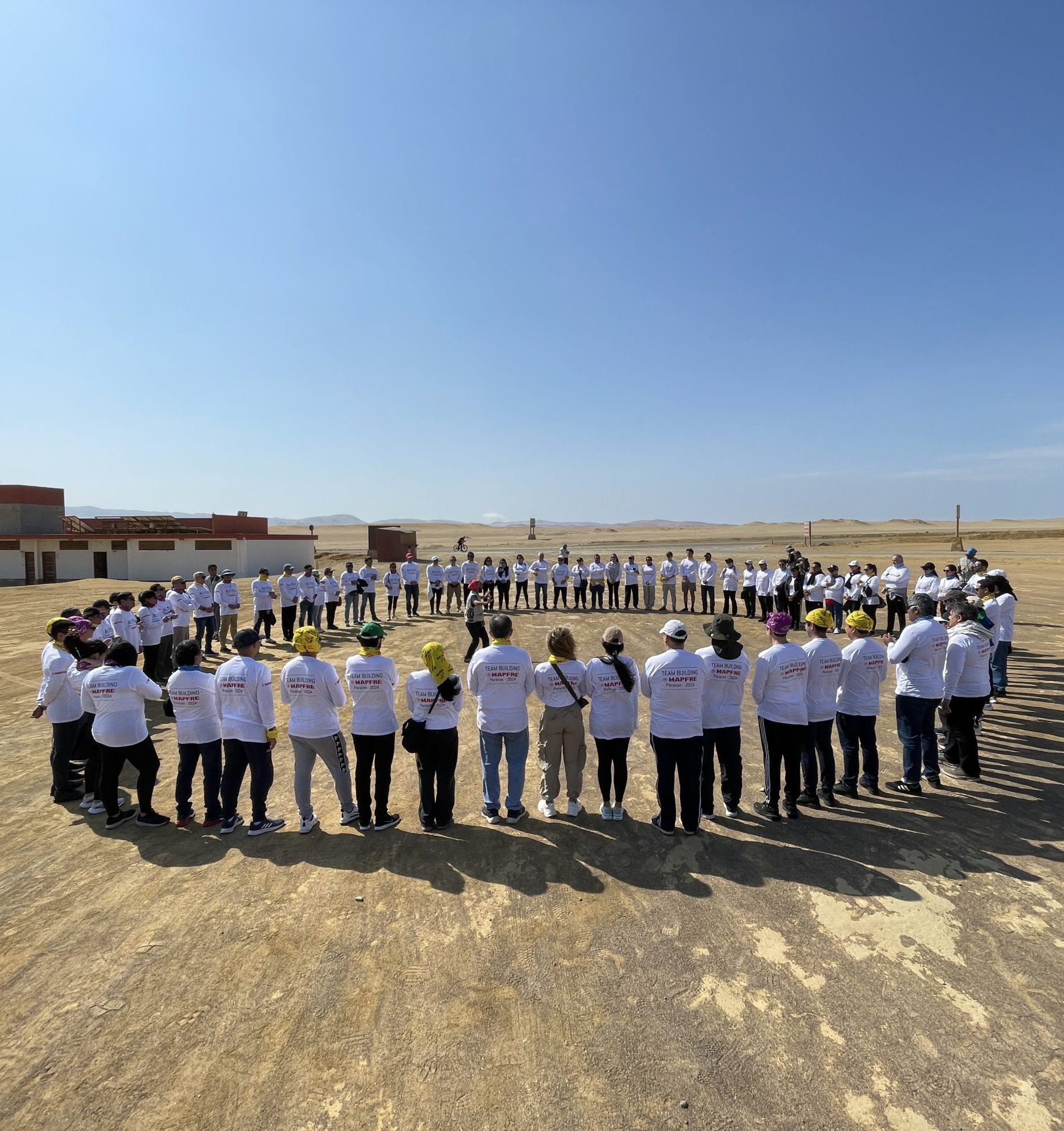 Desafío Organizacional, Paracas